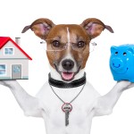 Plano Real Estate Update April 2015